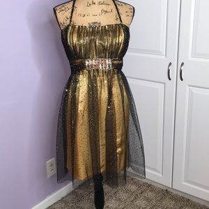 Cocktail/ Homecoming/ Formal/ Mardi Gras Dess
